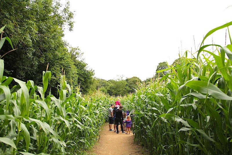 Labyrinthe Pont-Aven