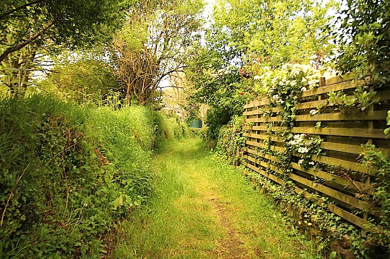 Breizh Forêt Bois : un fond pour faire grandir la forêt en Bretagne