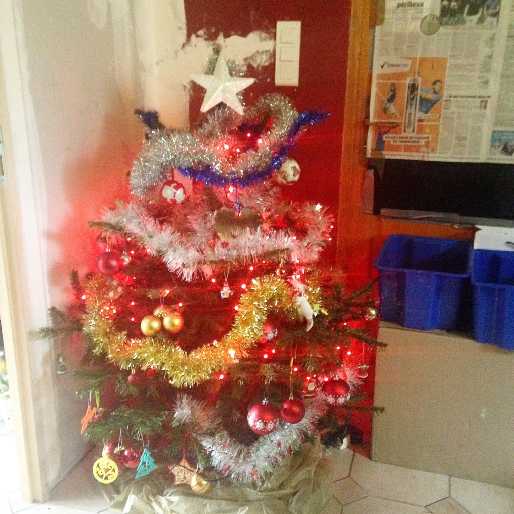 Sapin 2014