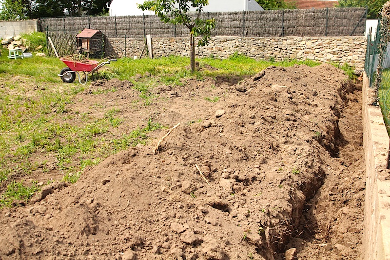 Jardinage : se débarrasser des bambous 