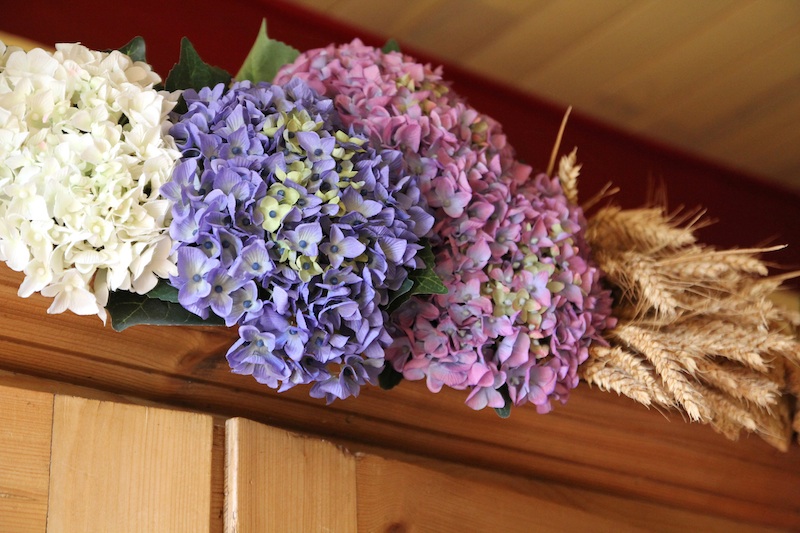 Faux hortensias