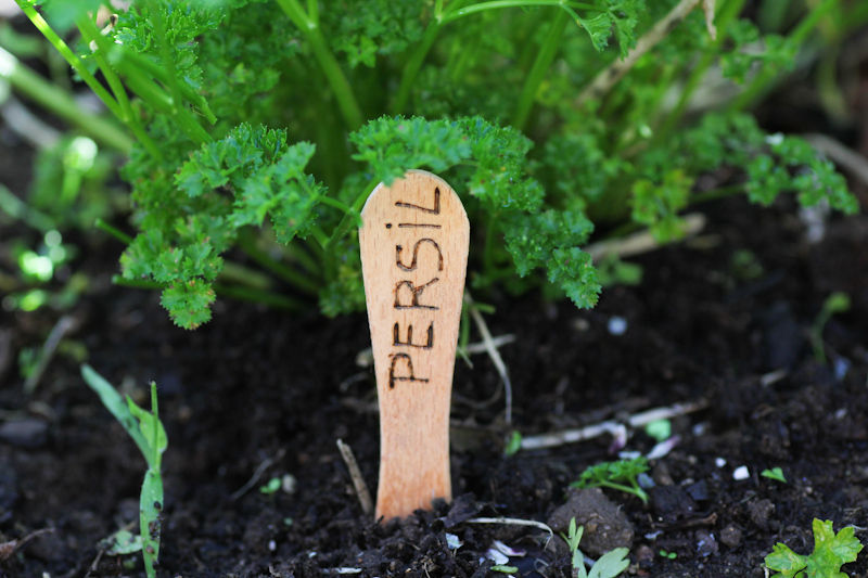 DIY étiquettes jardin aromatique pyrogravées (via wonderfulbreizh.fr)