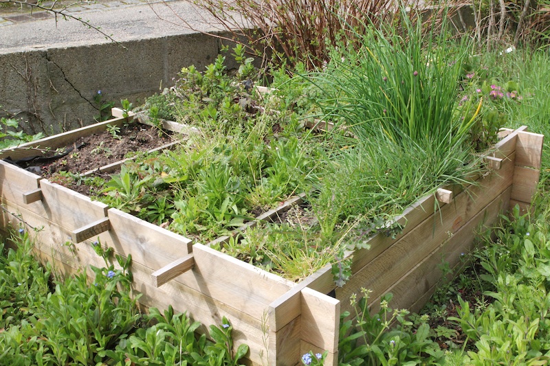 potager aromatique