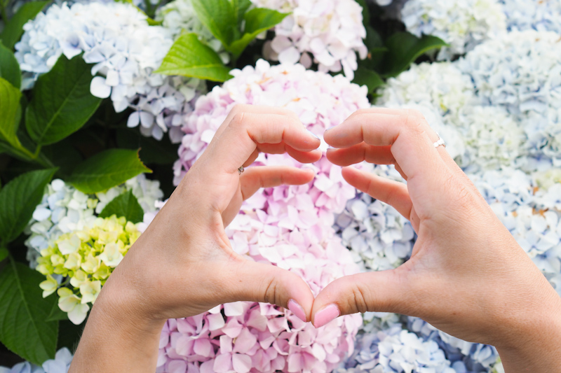 manucure hortensia (via wonderfulbreizh.fr)