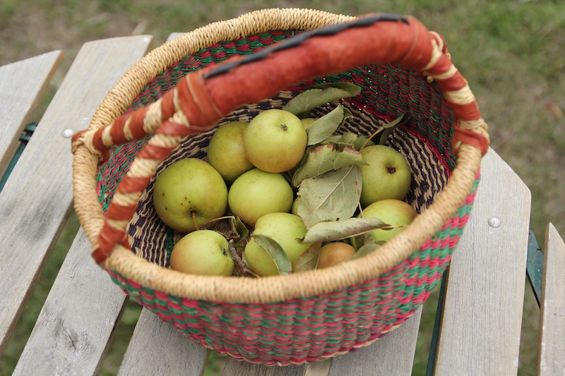 pommes du jardin