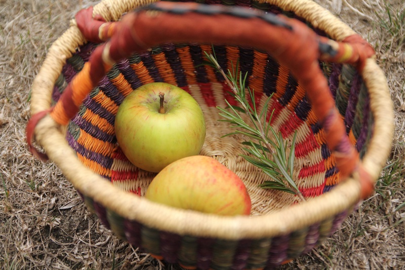 Recette quatre quart pommes romarin (via wonderfulbreizh.fr)